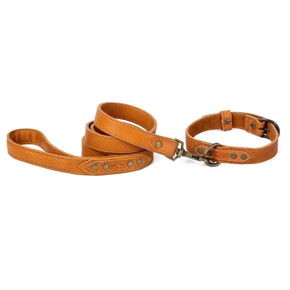 Campaign Leather Dog Leash