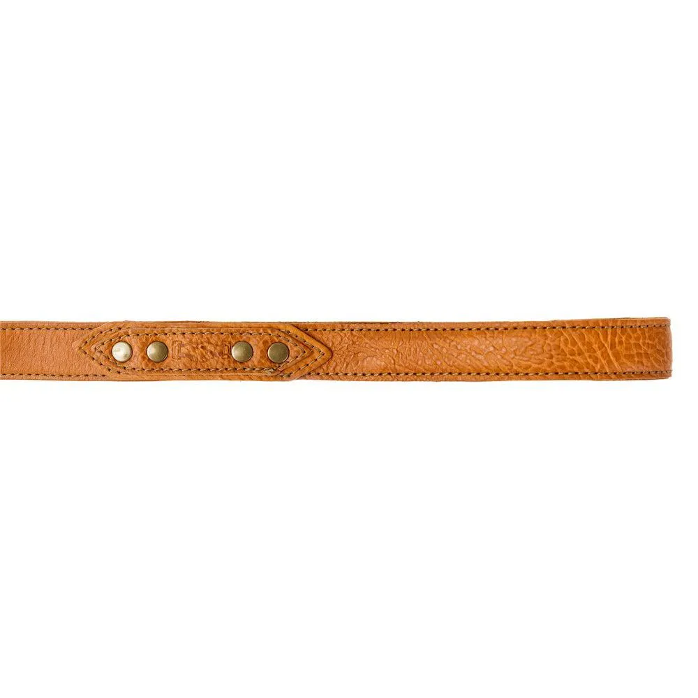 Campaign Leather Dog Leash