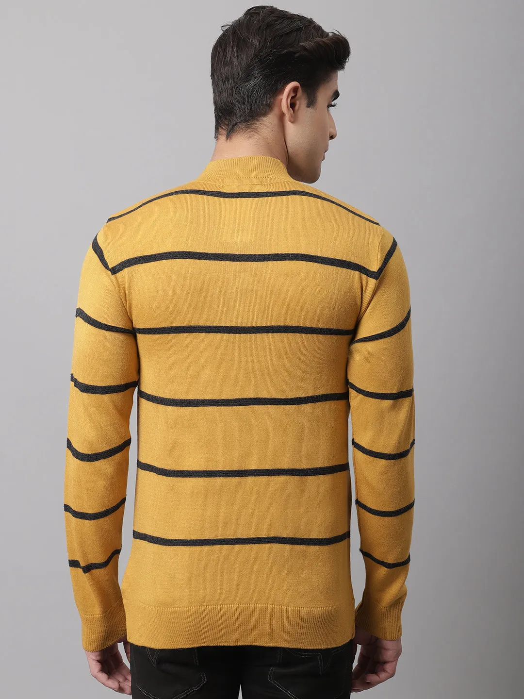 Cantabil  Men Mustard Sweater