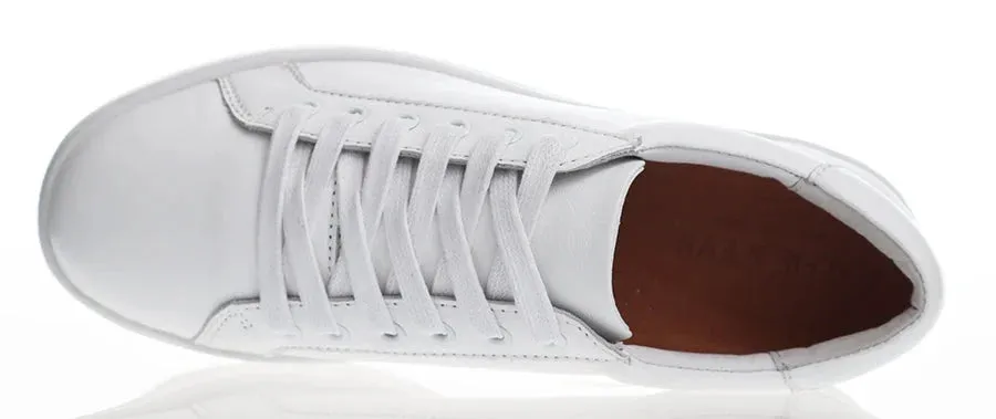 Oracle Leather Sneakers ~ White